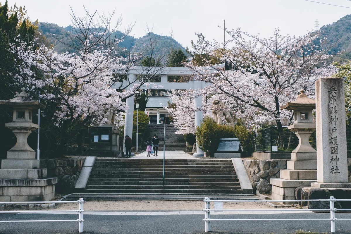 画像15