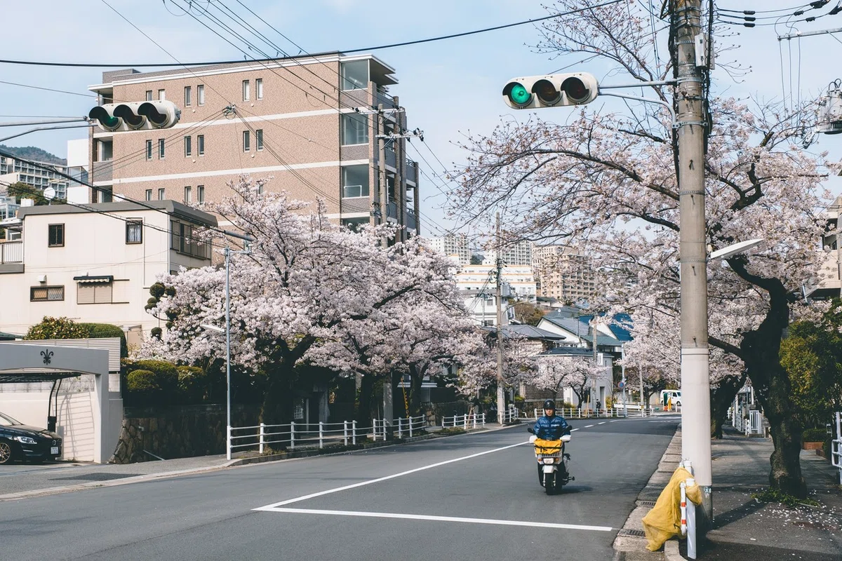 画像16
