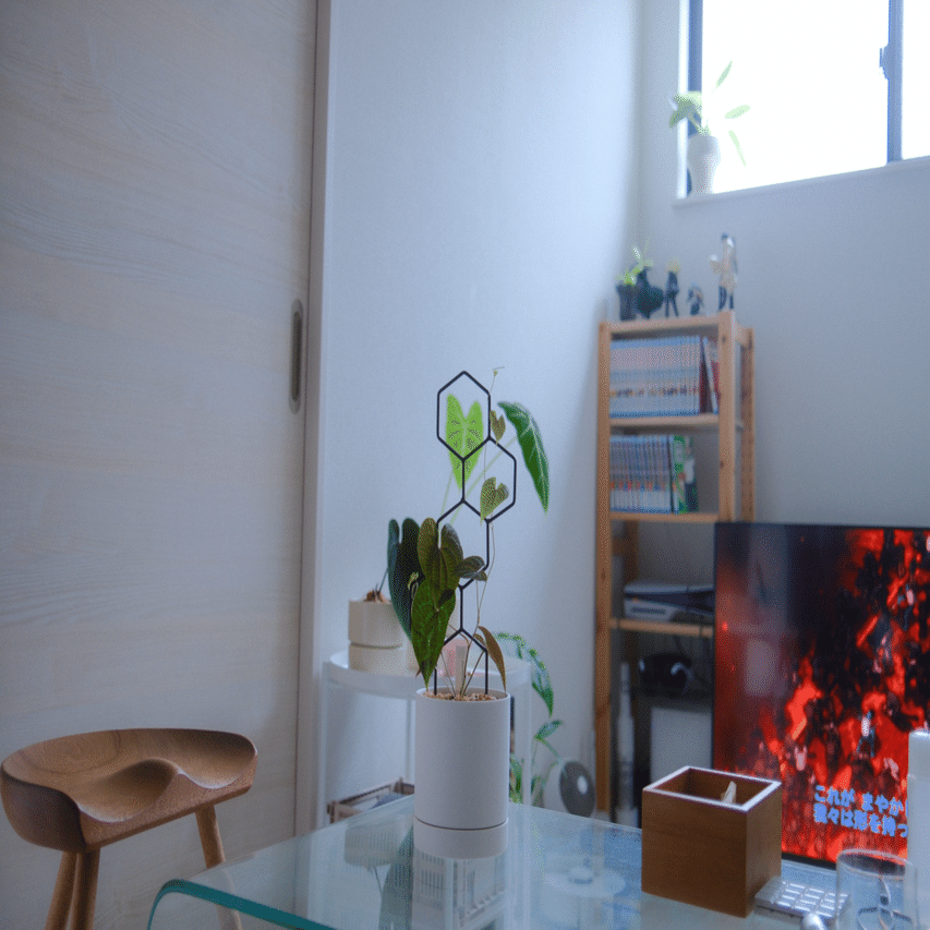 亀甲竜などの観葉植物を“支柱”で魅せる。センスのある部屋をつくるコツ