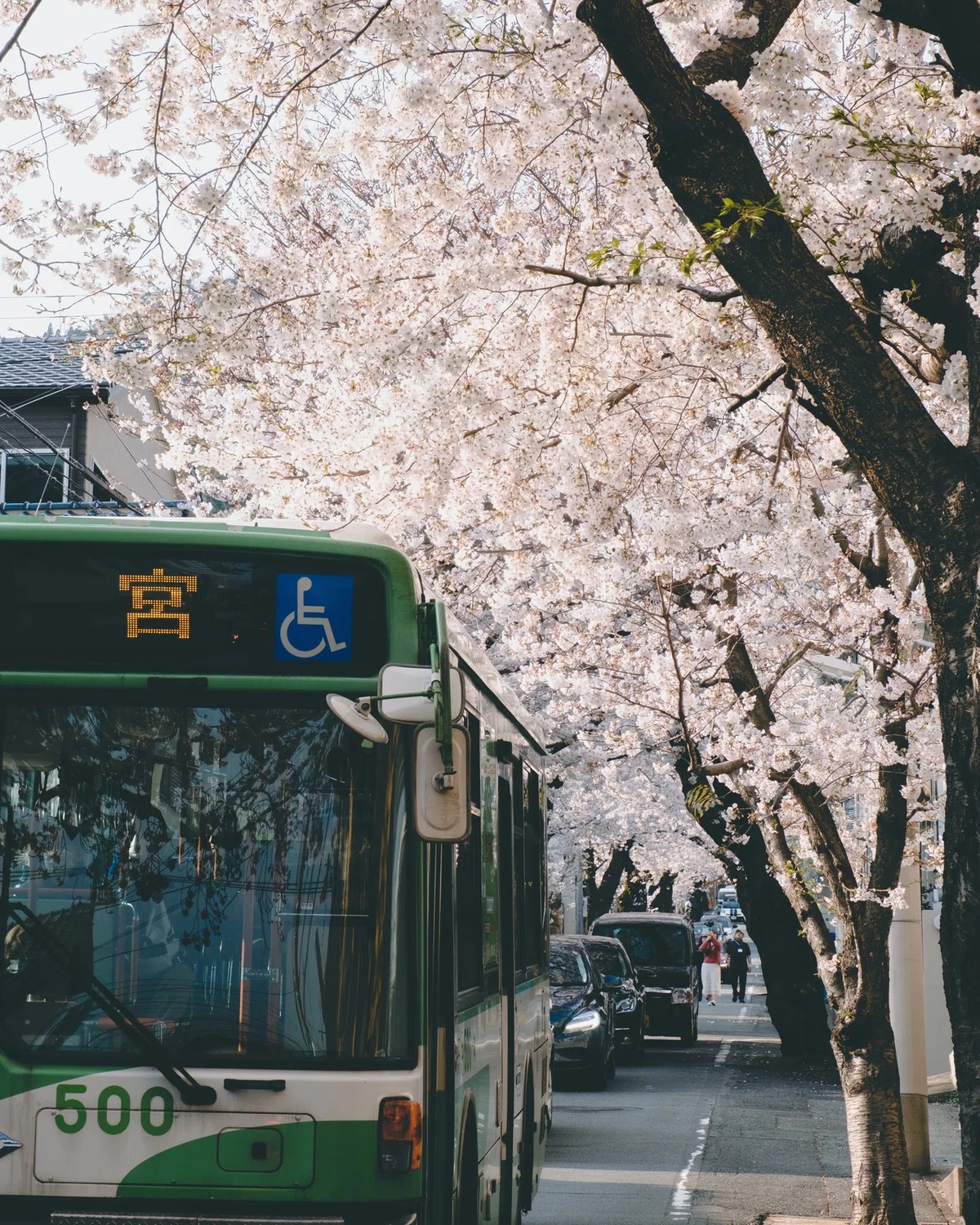 画像23