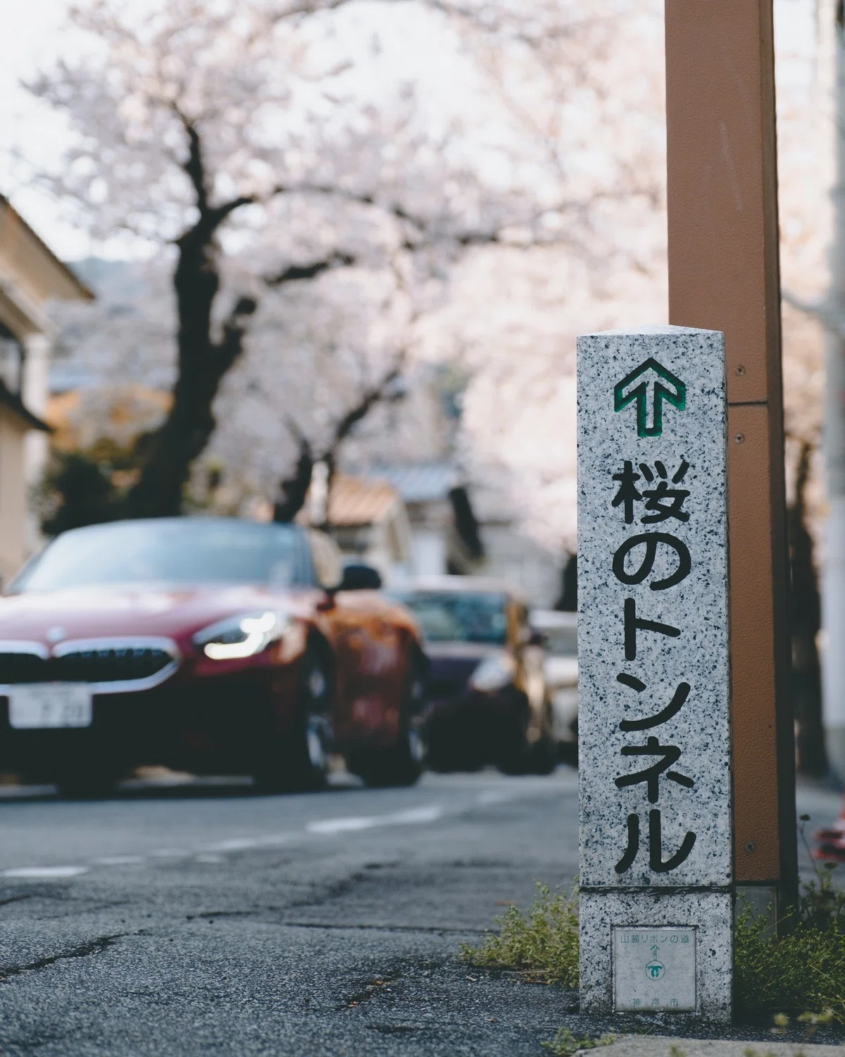 画像24