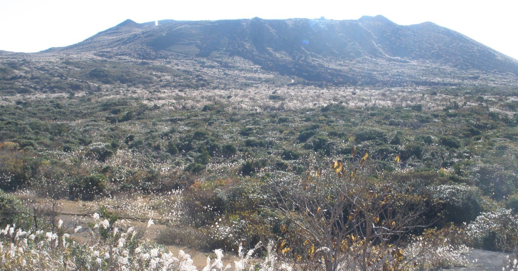 1986年伊豆大島・三原山噴火から39年｜ケンイチ