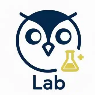梟流（おうる）＠WiseOwl Lab