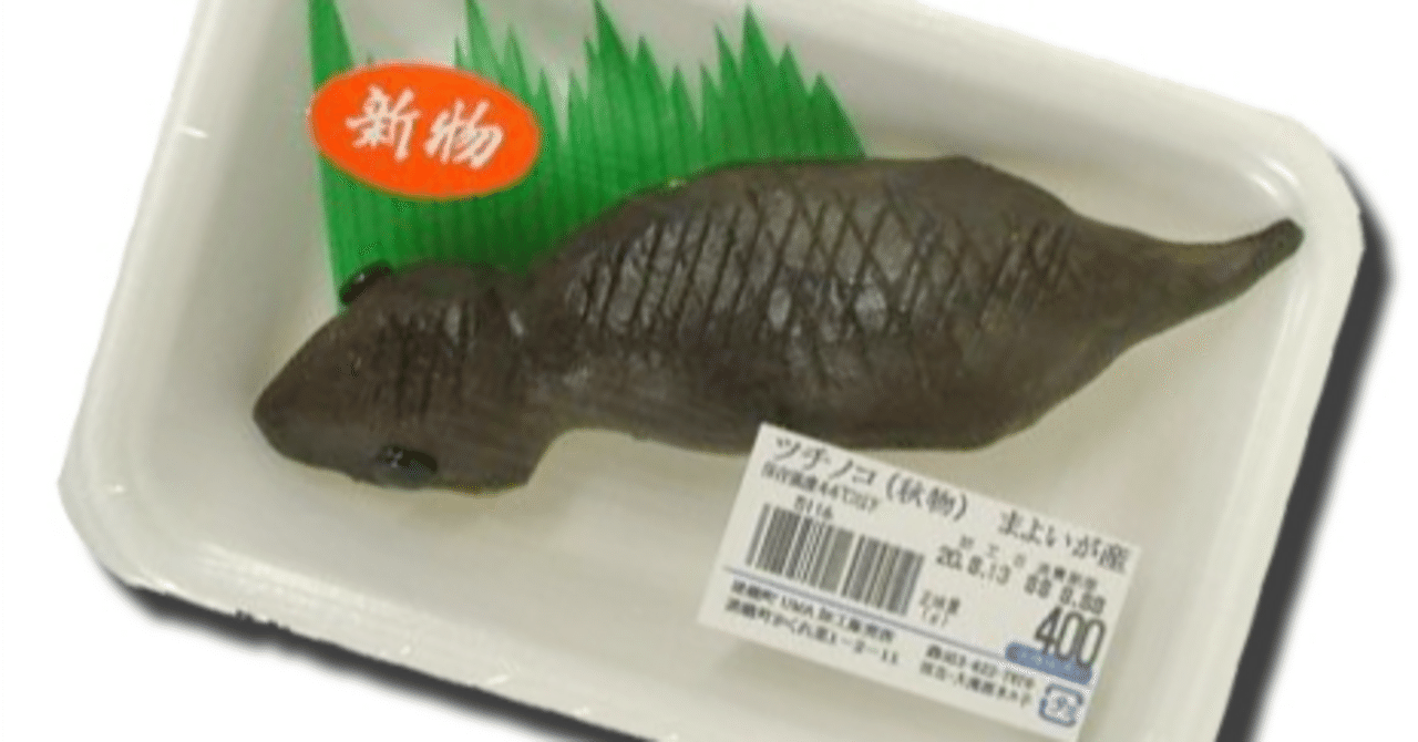 つちのことの遭遇 〜札幌行きの機内で僕は、たった一通のメッセージを