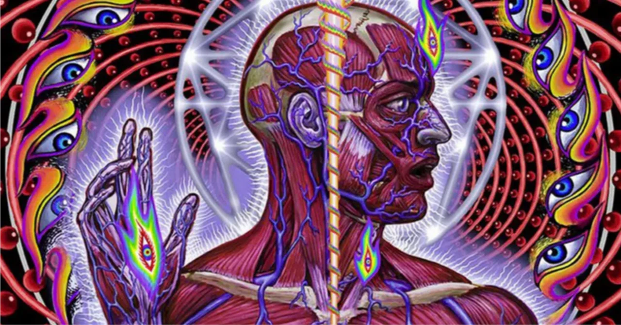 拍を数える音楽 → 波を感じる音楽 Tool『Lateralus』と構造的リズムの進化 ｜構造貴族(構造士3級)