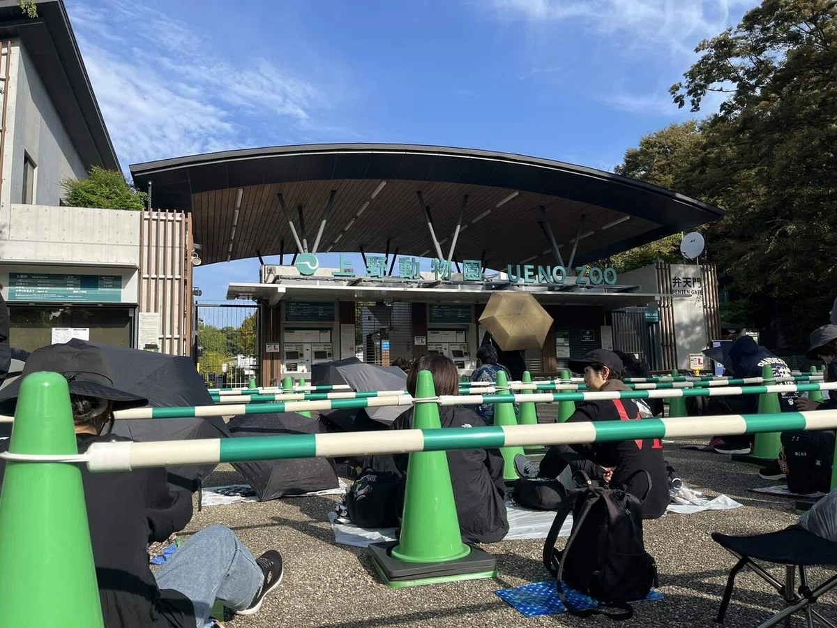 上野動物園と国立科学博物館｜子連れ攻略法｜あめこ