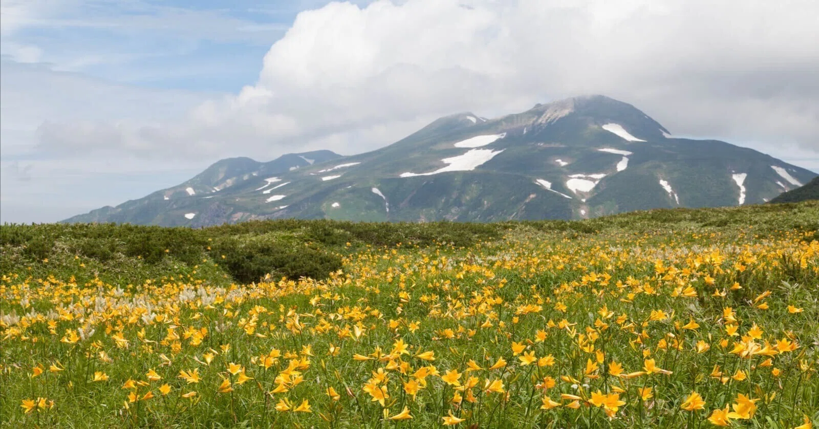 なぜ日本人は山に祈り続けるのか？ 白山信仰1200年の歴史が教える