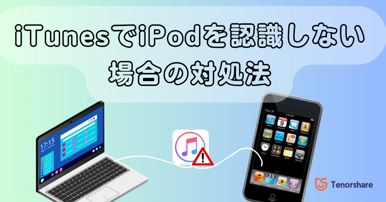 iPod classic SD256GB iTunes同期動作OK スケルトン