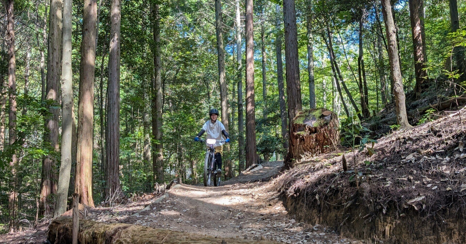 322bd34182fe9b03b065dcace3aad3