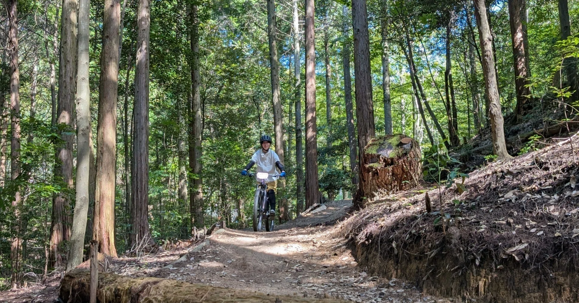六甲山の雑木林を再生した新レジャー マウンテンバイクに初心者が奮闘
