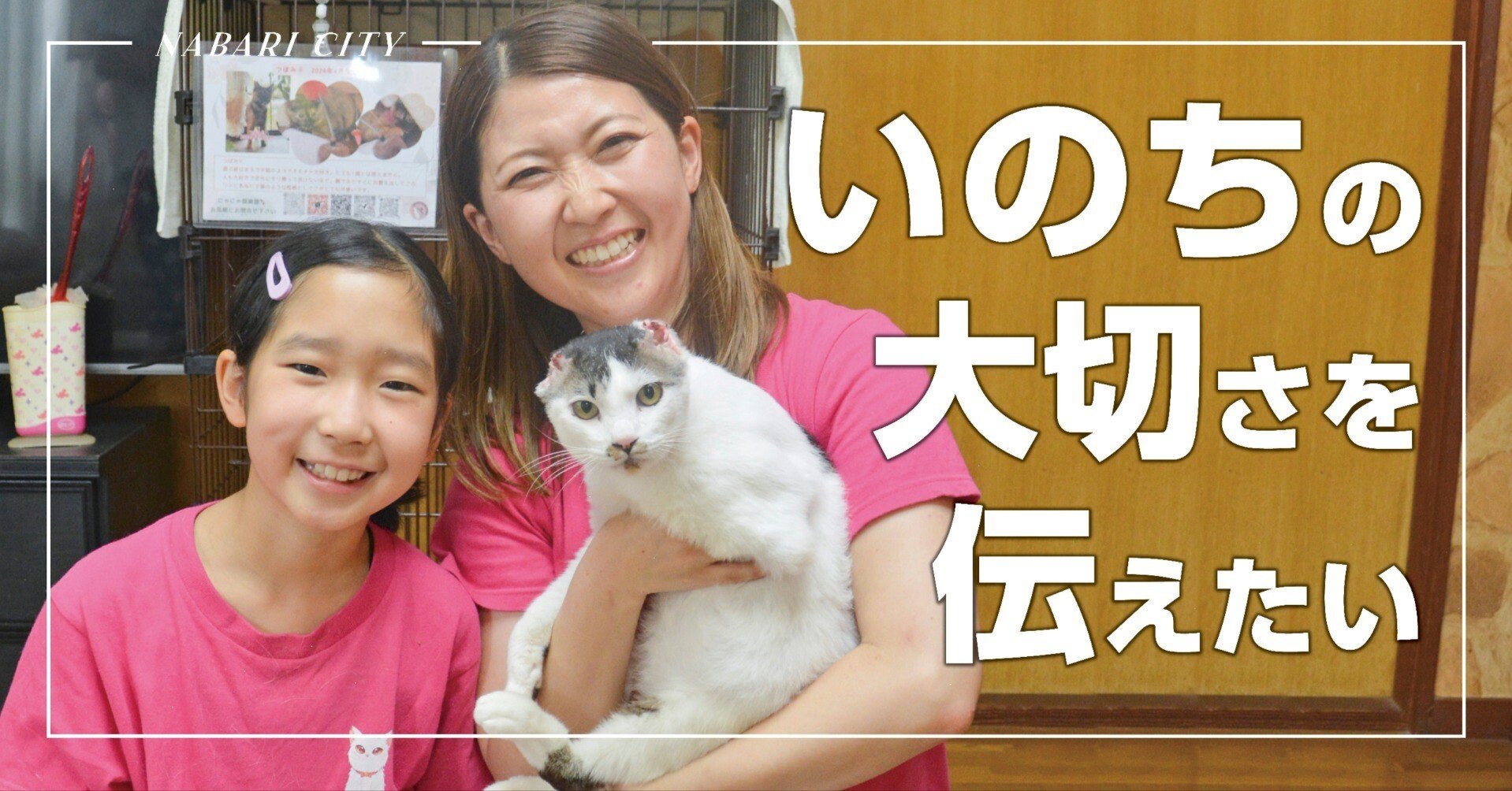 猫は動くぬいぐるみじゃない 人間と同じ大切な命なんです｜名張市公式note