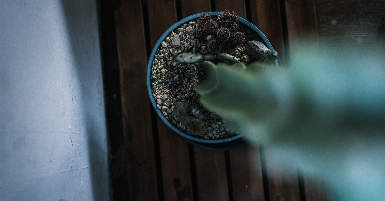 売上より、“選ばれ続ける理由”がブランドを育てる