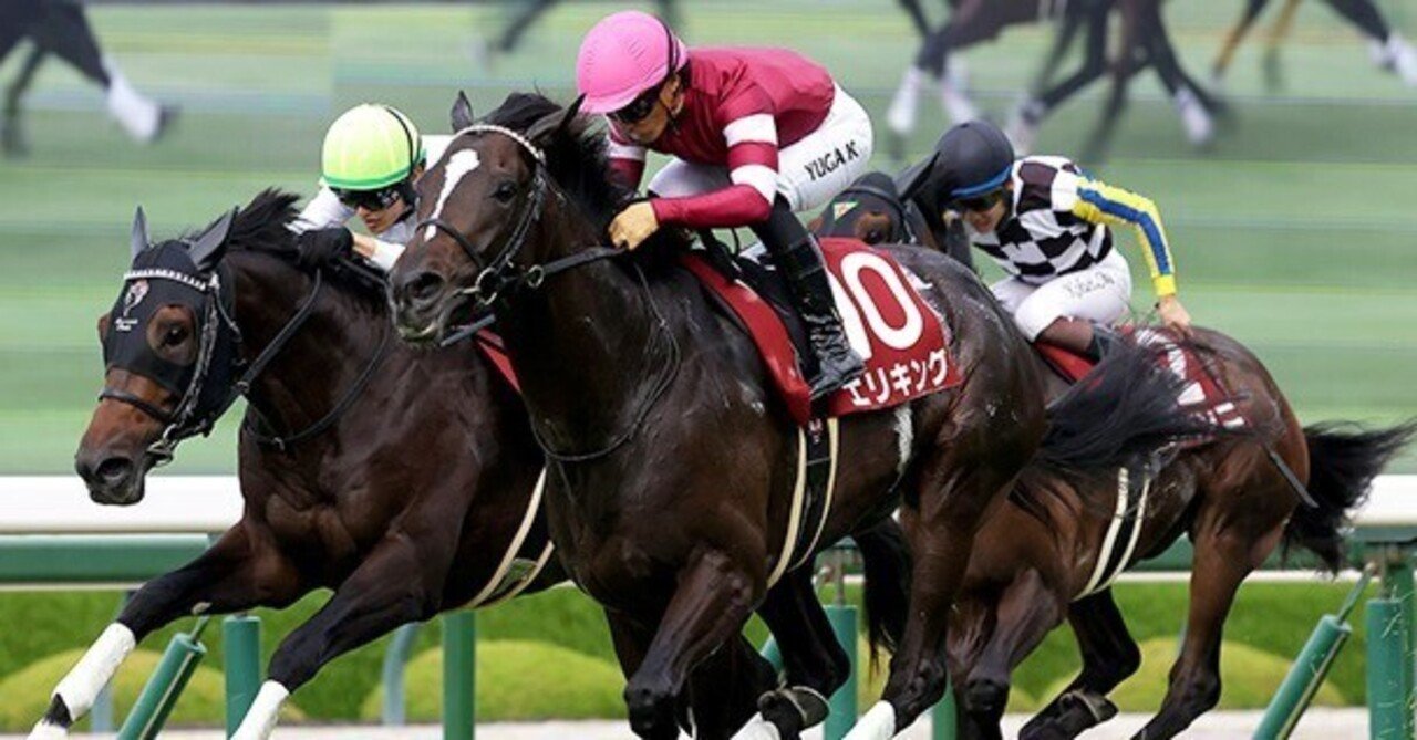 菊花賞  ジャージ 菊花賞 ジャージ