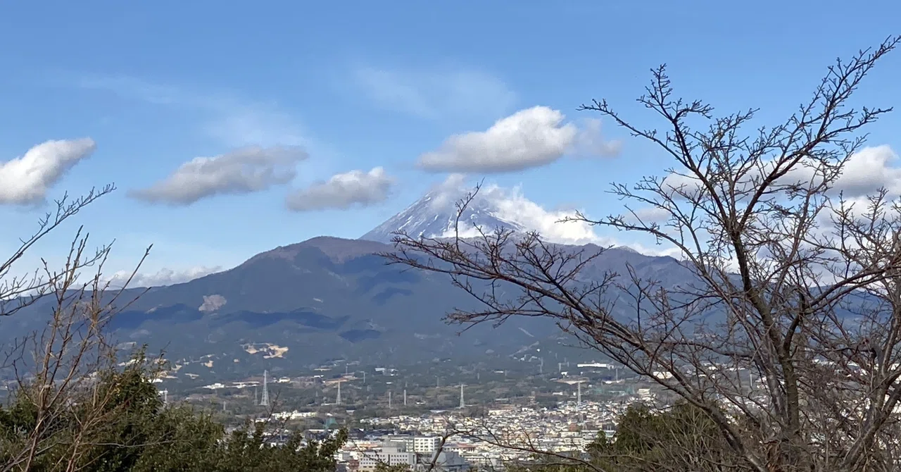 [Latest Edition] Shizuoka City Staff (Administrative Position) Essay ...