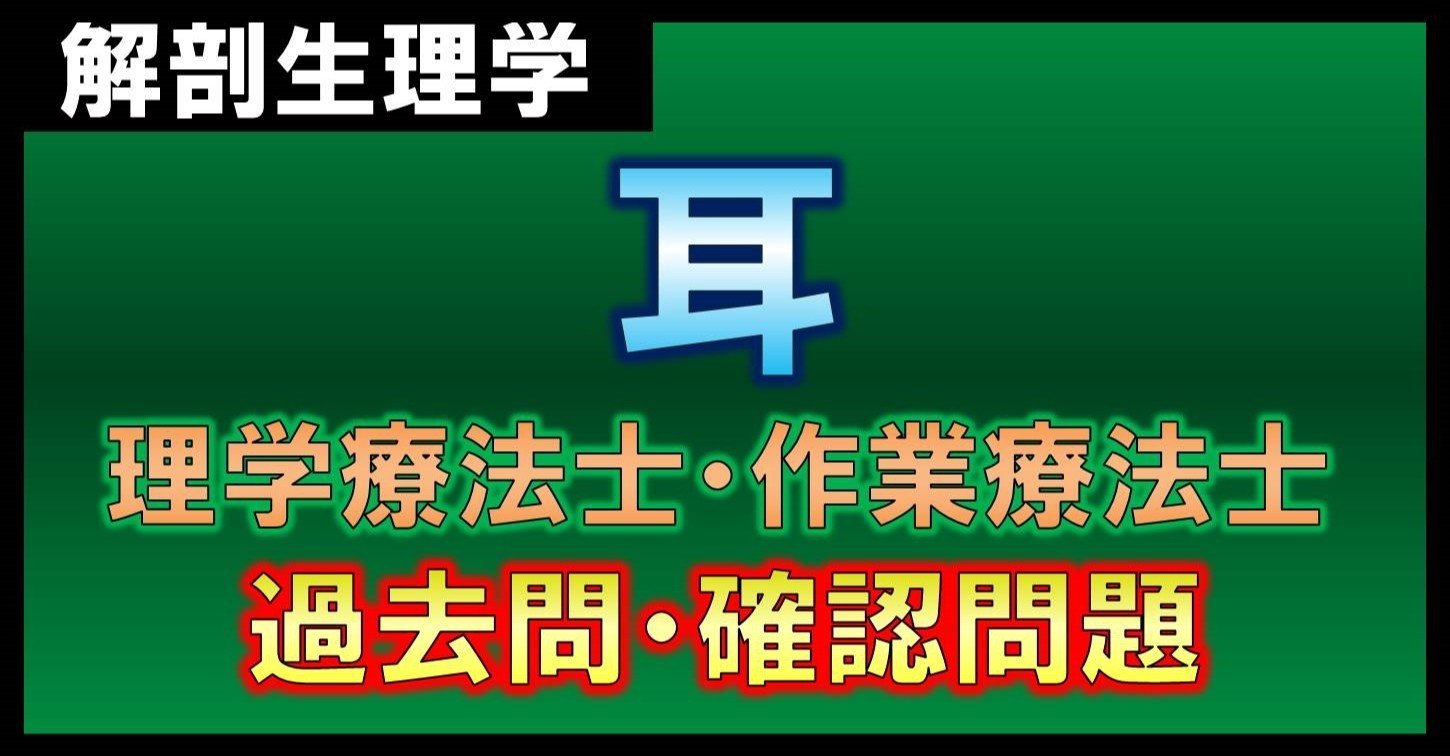 解剖生理学 耳 確認問題 理学療法士 作業療法士