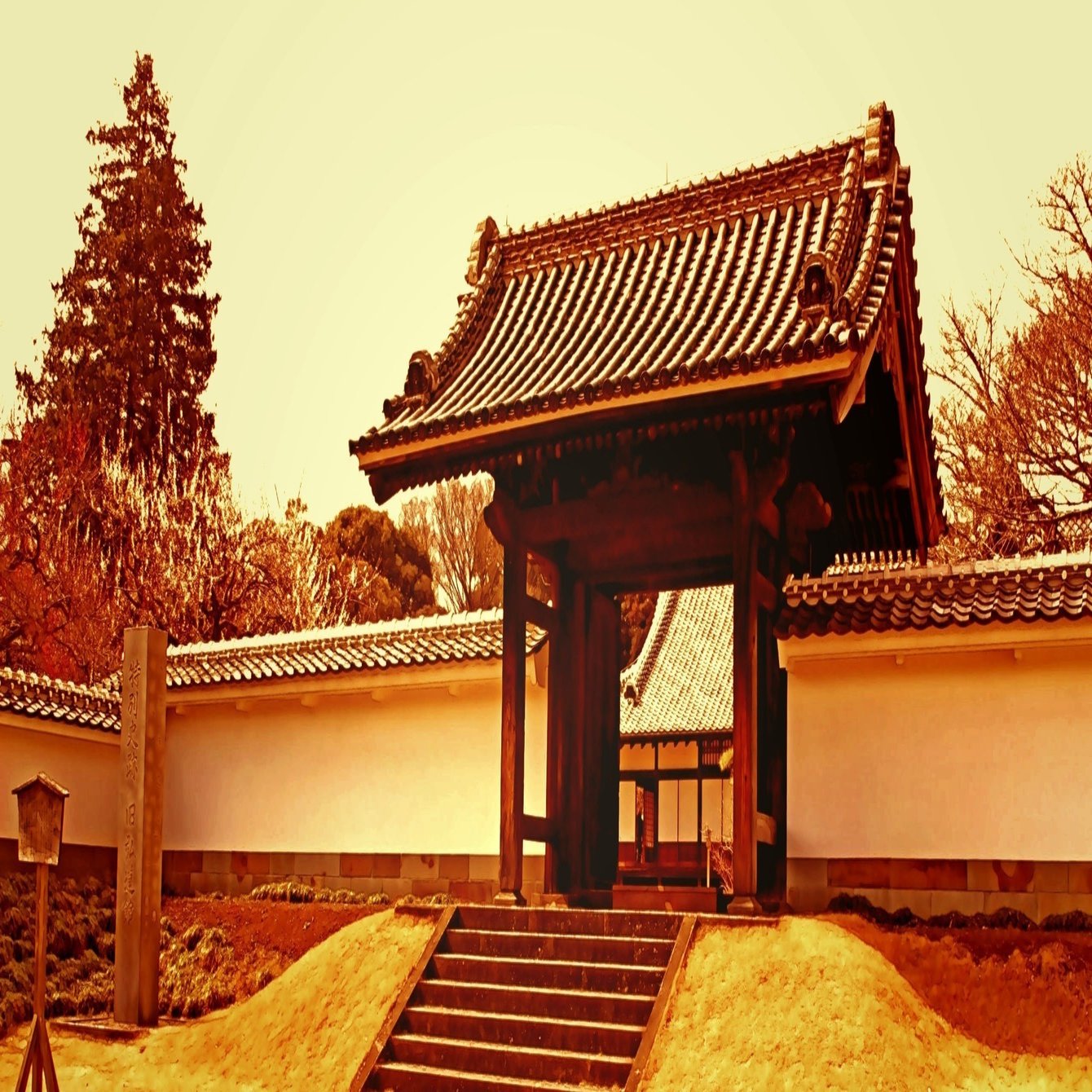 第六十一号 水戸藩の幕末｜伊東潤