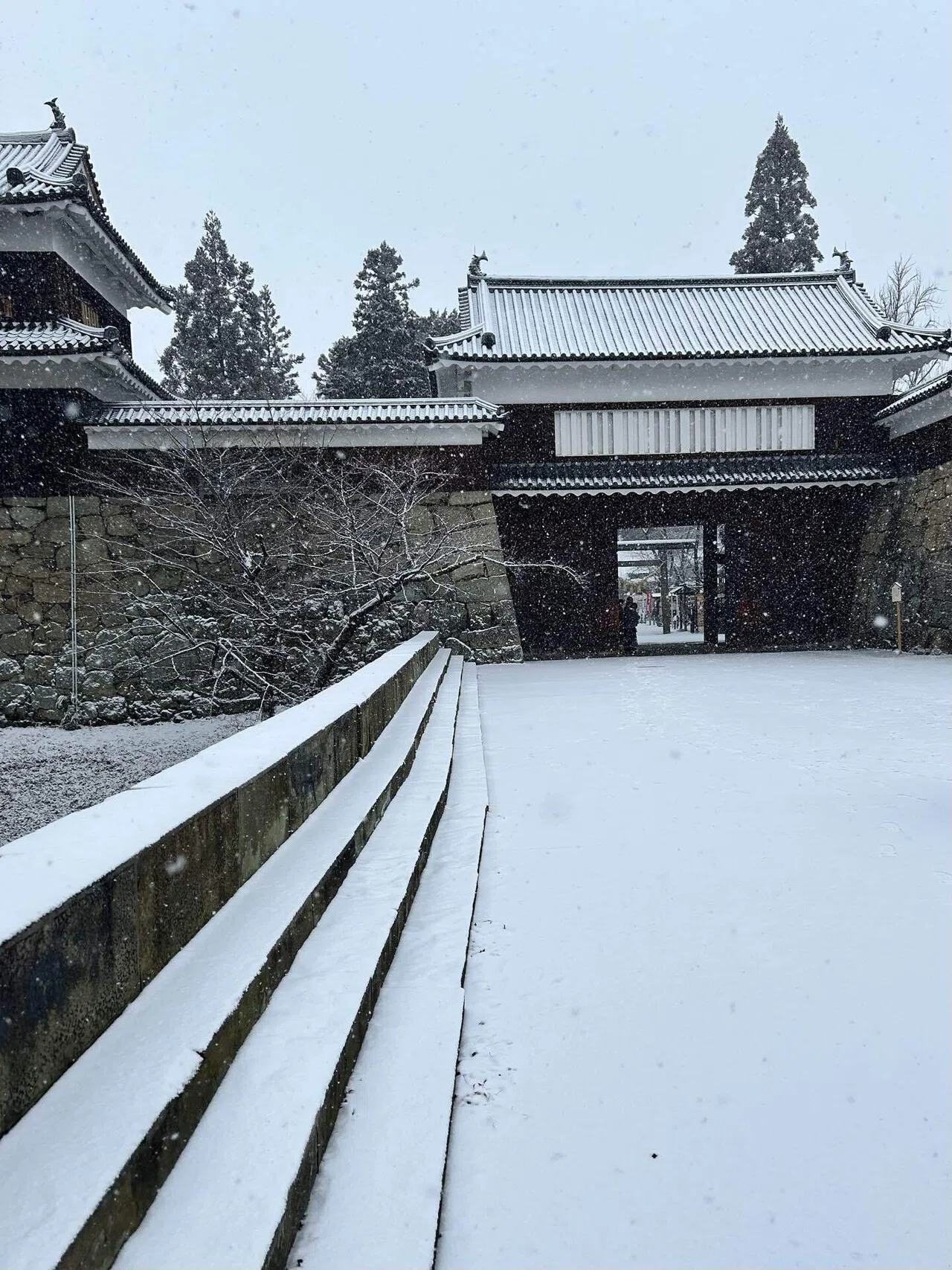 綿雪ふわり、冬の上田城 - 2024長野旅①｜Masaharu