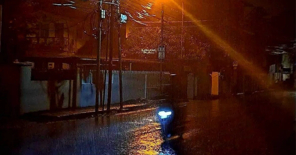 èŠåºãç»å