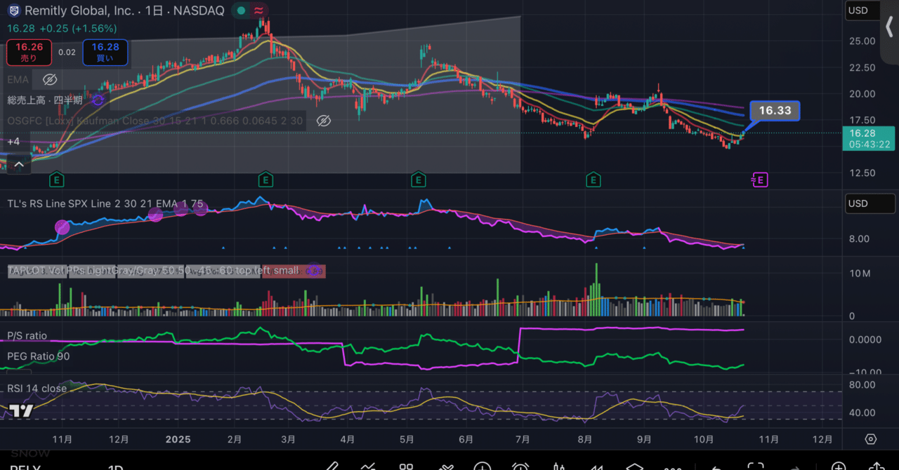 RELY Remitlyの30億ドルパラドックス：なぜウォール街は金融界で最も急成長するマシンを無視するのか｜AIメタトレンド投資 HACK TO  THE FUTURE