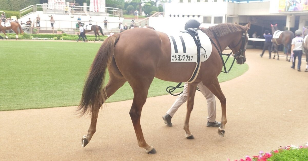 休題 中の人が出資した馬が勝利した話(キャロットクラブ)｜デカル(ΦωΦ