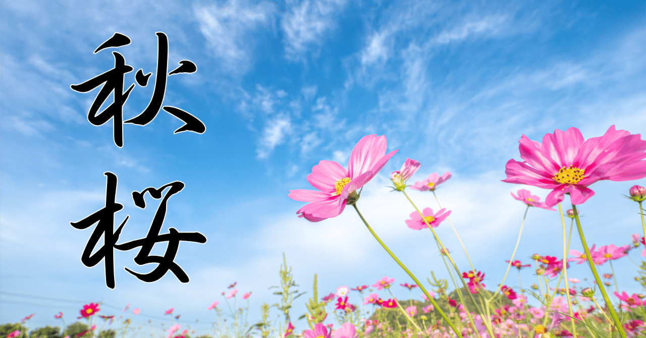 OM-1IIとOLYMPUS PEN Liteで撮るコスモス｜もみじ卍ゅう/写真愛好家