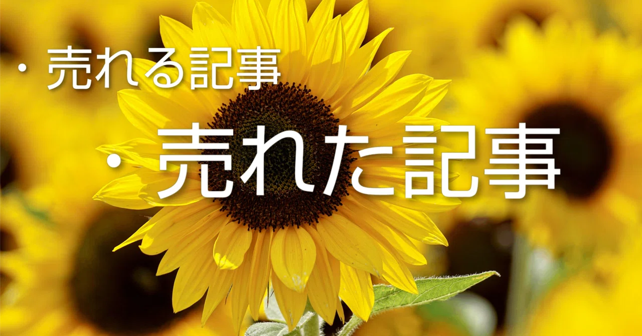 見出し画像