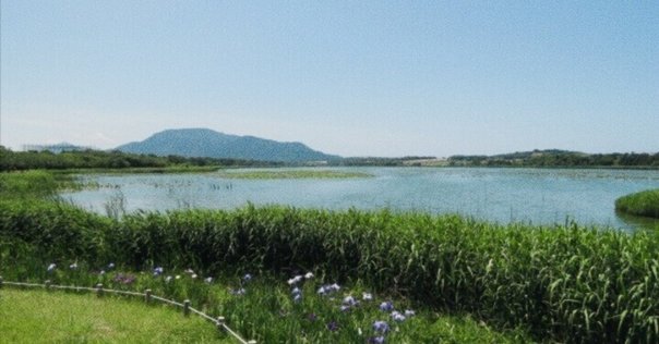 戦争中、中国大陸に木を植えた緑の連隊長・吉松喜三～日本が世界に誇る