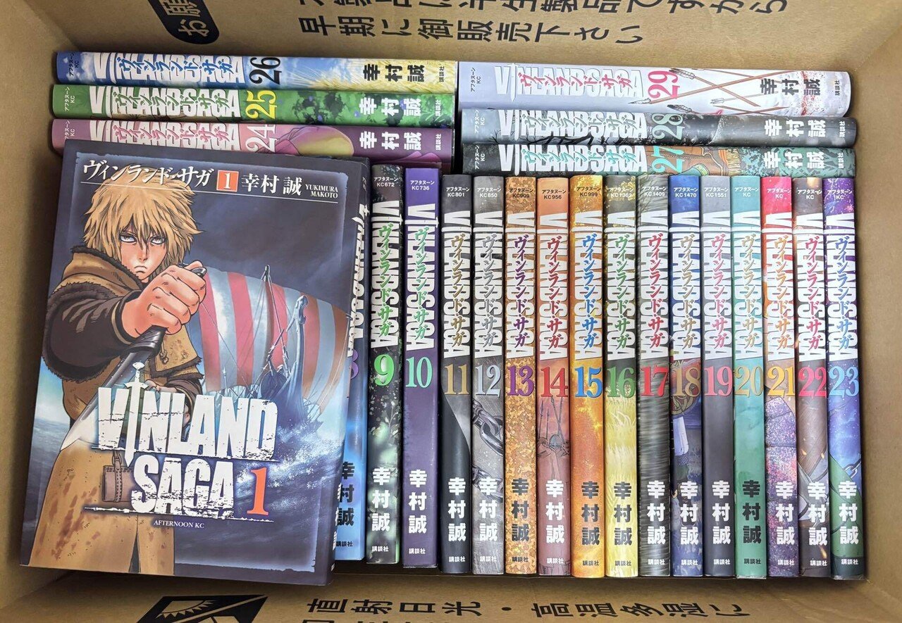大人の一気読み、『ヴィンランド・サガ』全29巻｜中山圭子