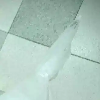 夕