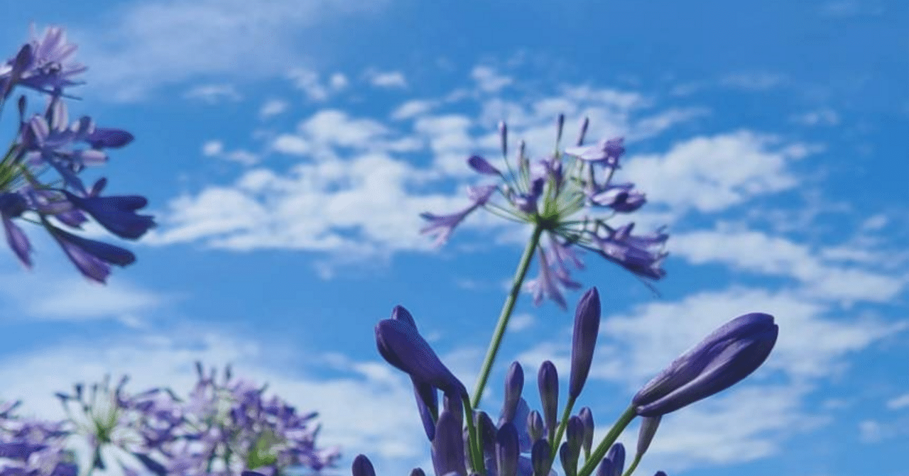 LINEブロックする人の心理｜きよせ｜デザイナーが心理学・脳科学を使って受注ゲット/単価UPするためのnote