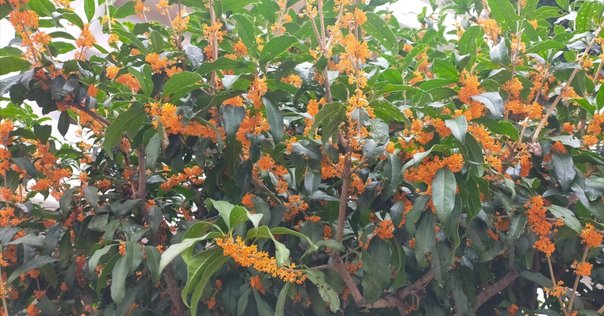 松野志保の歌集を読んで①（『モイラの裔』）｜高城顔面