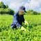 A Vietnamese Life in Japan_島暮らし