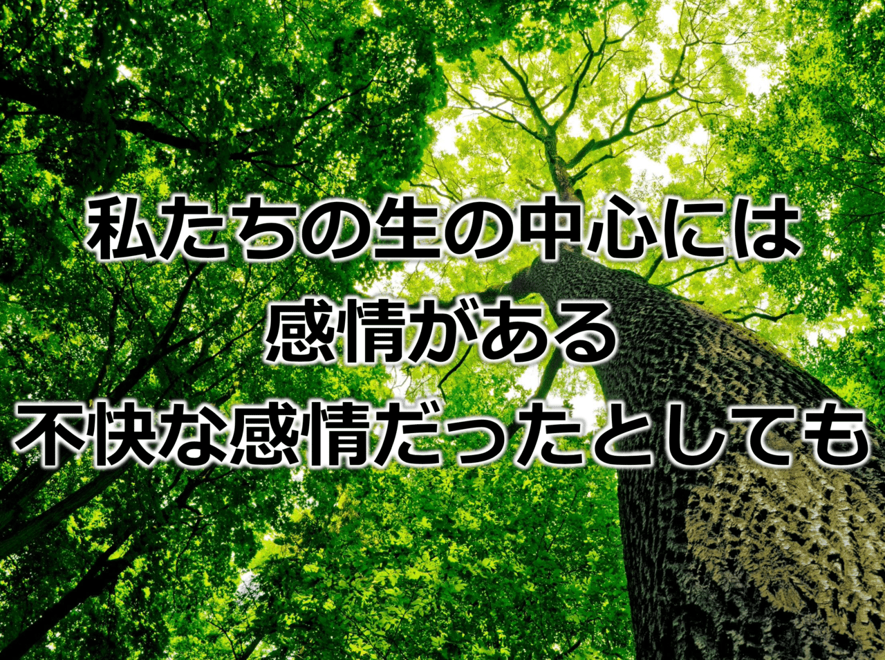 心理的安全性の本質は ネガティブな経験を 自然なこと として受け入れること ハイマネージャー Himanager Note