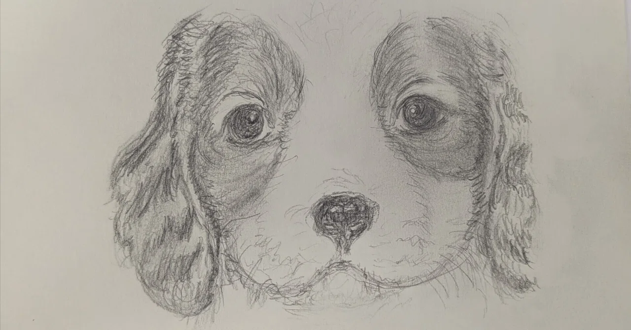 drawing #2｜mos