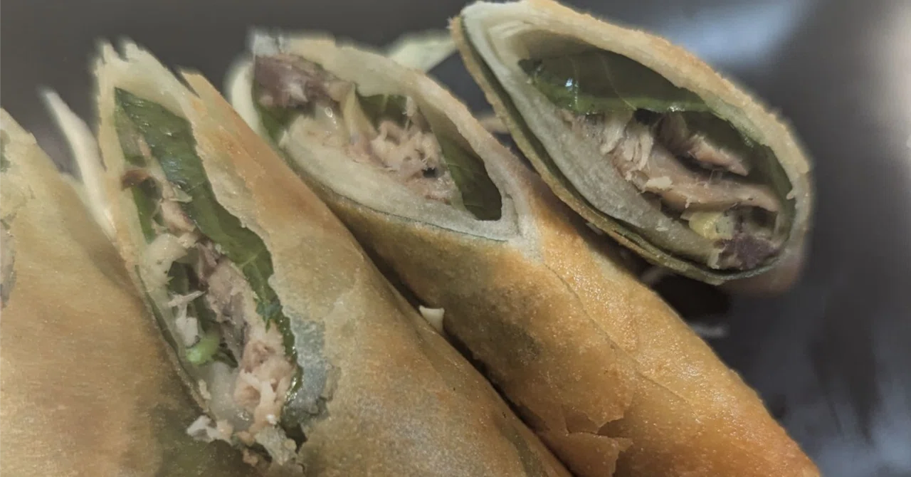 Sping Rool A feast with what's in the pantry: Mackerel and green onion spring ...