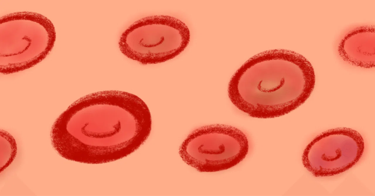 Air pollutants (PM2.5) attach to red blood cells after inhalation, but ...