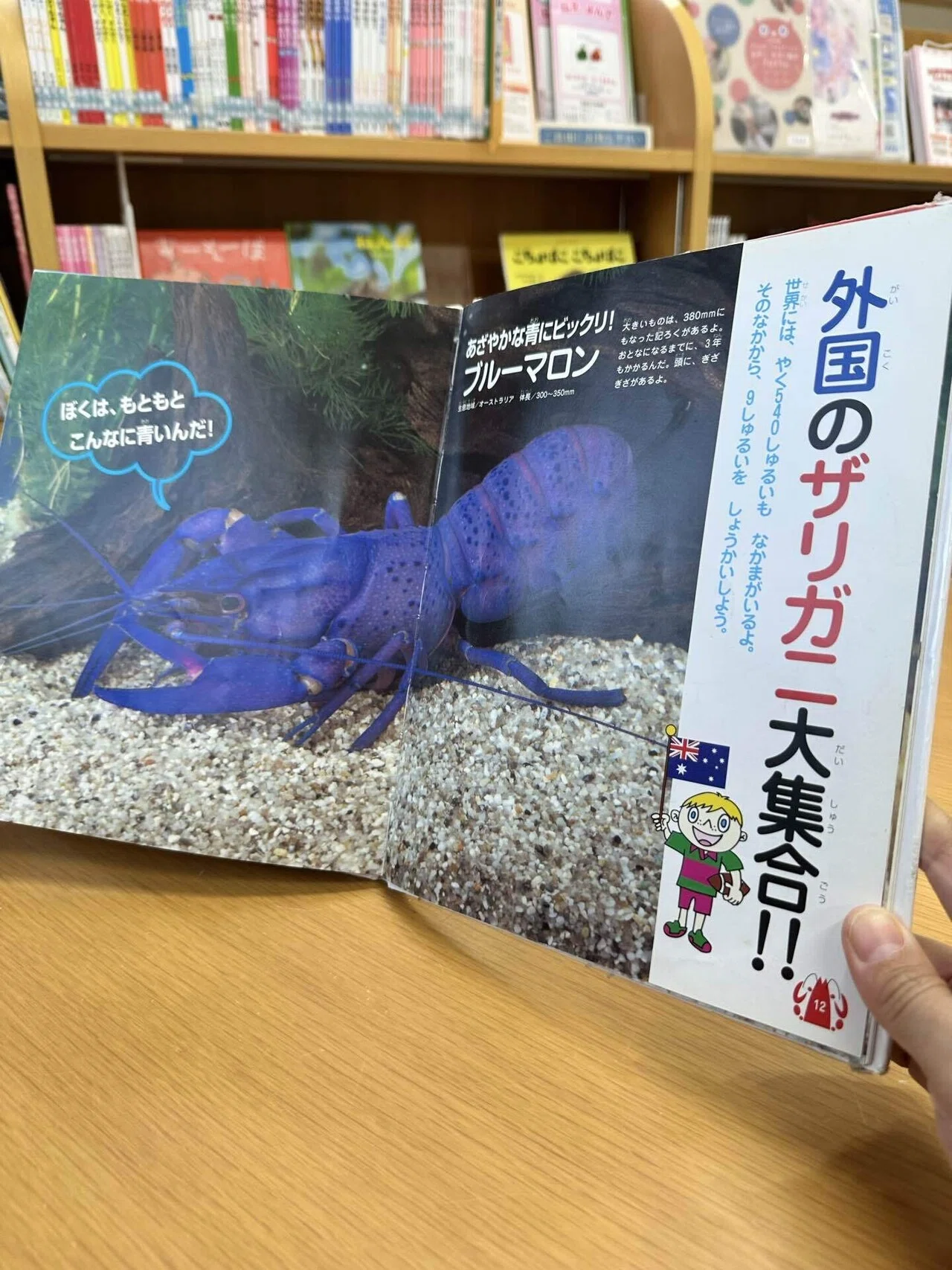 三〇〇パーセントのエビ🦐｜カーン江夏未花