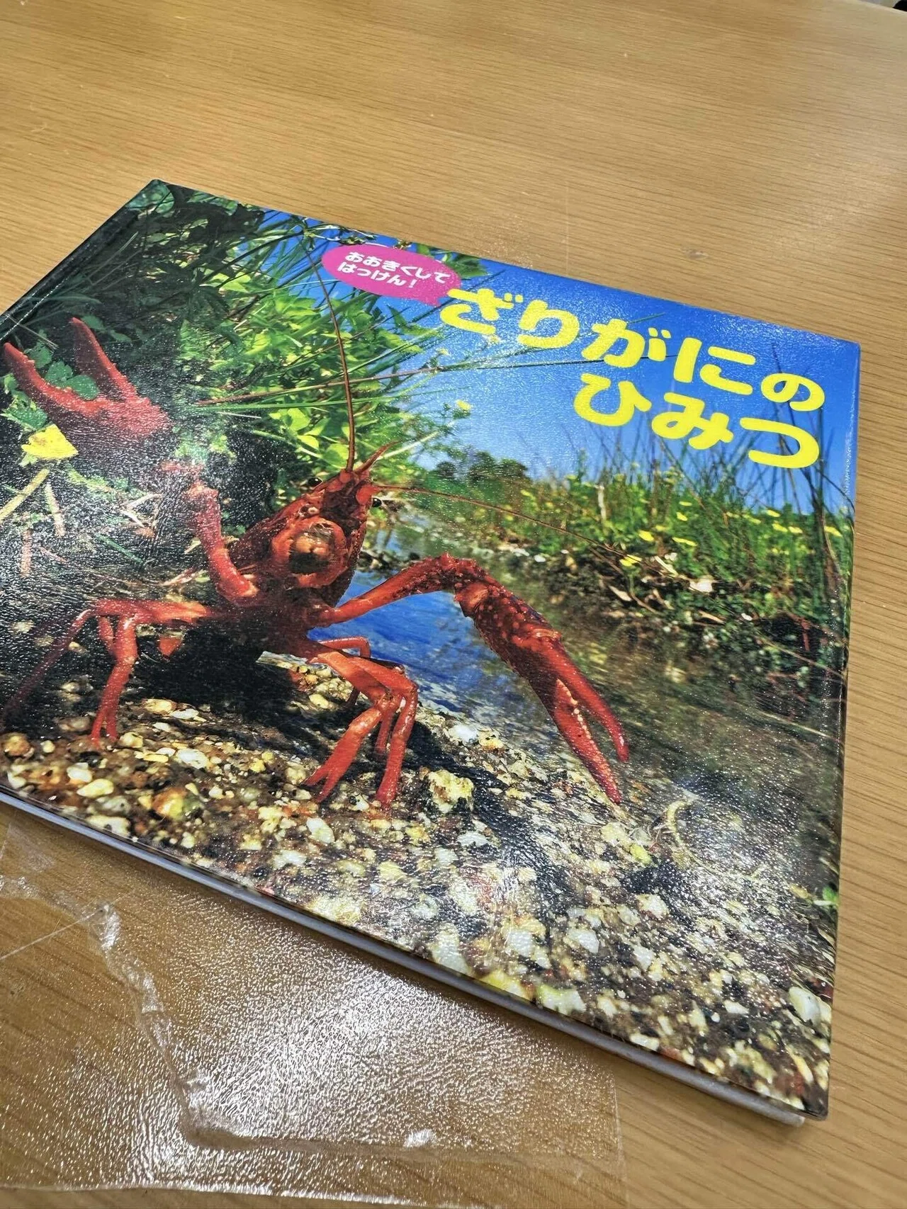 三〇〇パーセントのエビ🦐｜カーン江夏未花