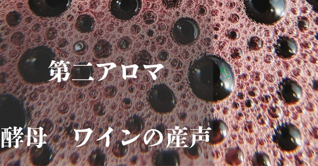 第二アロマ──発酵の魔法が生み出す香り〜酵母と時間が描く、もう