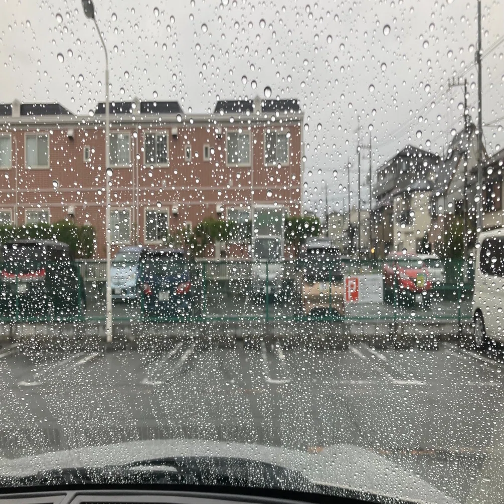 短歌一首】 不意に雨屋根を叩きて車窓にはみるみる雫のカーテン降りぬ
