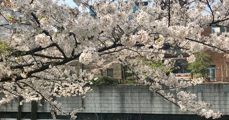 バンドマンと付き合う方法だなんてタグ見つけたけど付き合う方法なんてモンはハッキリ云って楽よ の新着タグ記事一覧 Note つくる つながる とどける バンドマンと付き合う方法だなんてタグ見つけたけど付き合う方法なんてモンはハッキリ云って楽よ の新着タグ記事一覧 Note つくる つながる とどける
