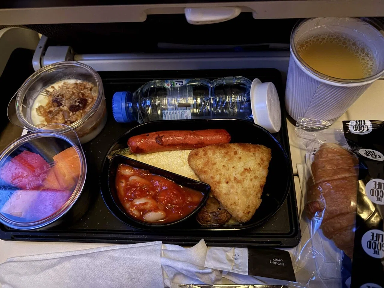 エティハド航空の機内手荷物1つのみって本当？搭乗レポ｜クララ｜旅の