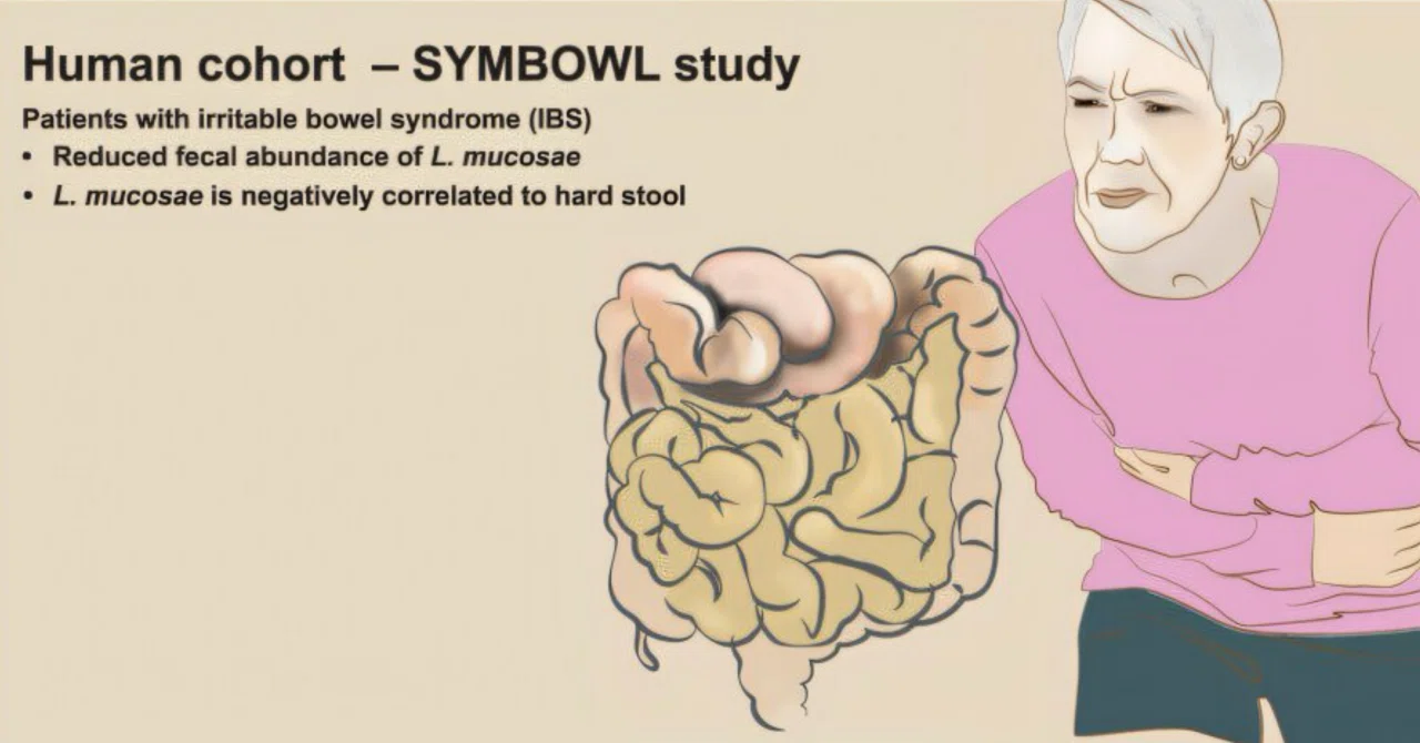 最新｜腸内細菌が産生するセロトニンが、新たな過敏性腸症候群（IBS）治療への希望となる
