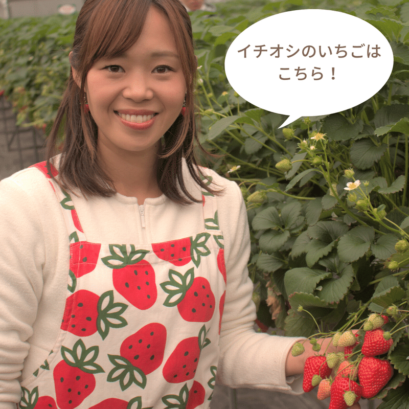 Muupaper Web版 Vol 2 ストロベリーハウス 宮内梓さんと対談インタビュー Muu Note