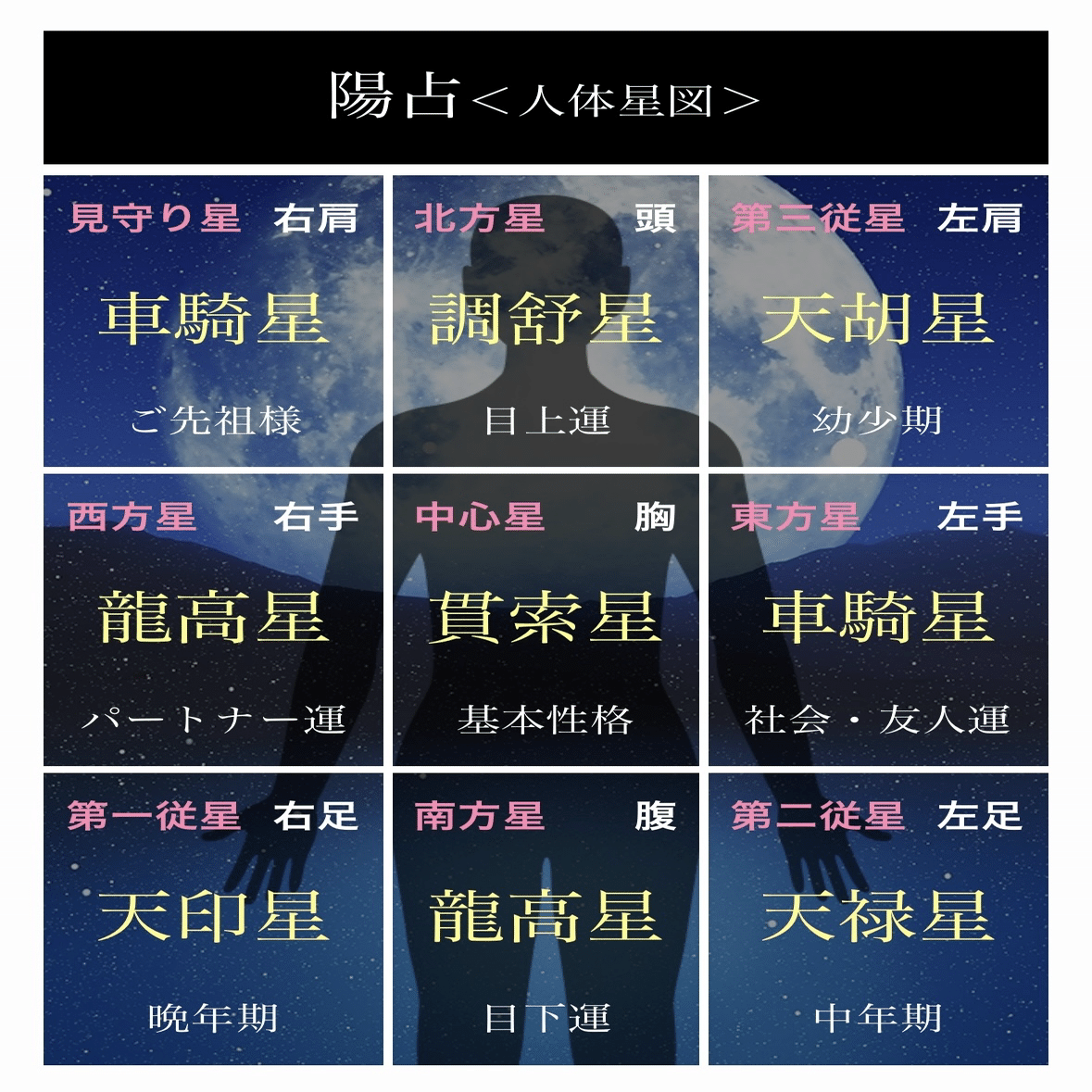 ドキドキ鳩の算命学占い🔮青具さん編｜比呂ころく