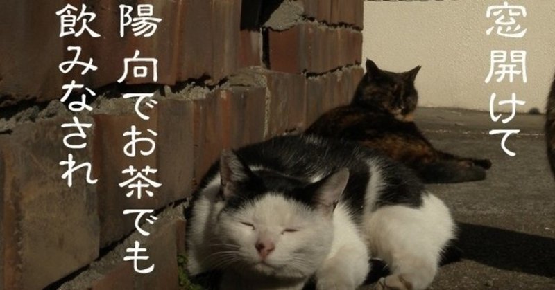 おうちでお茶を飲む時間 ひな Happy Development Note