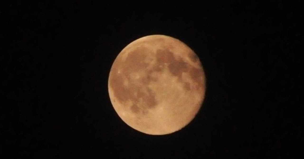 オオカミ男 の新着タグ記事一覧 Note つくる つながる とどける