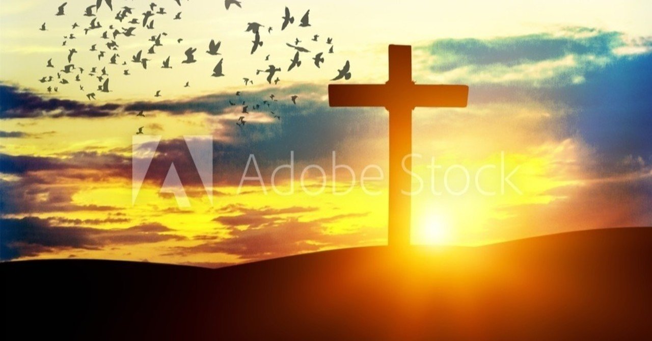 追悼 オナー ブラックマン 阪 清和 Kiyokazu Saka Note