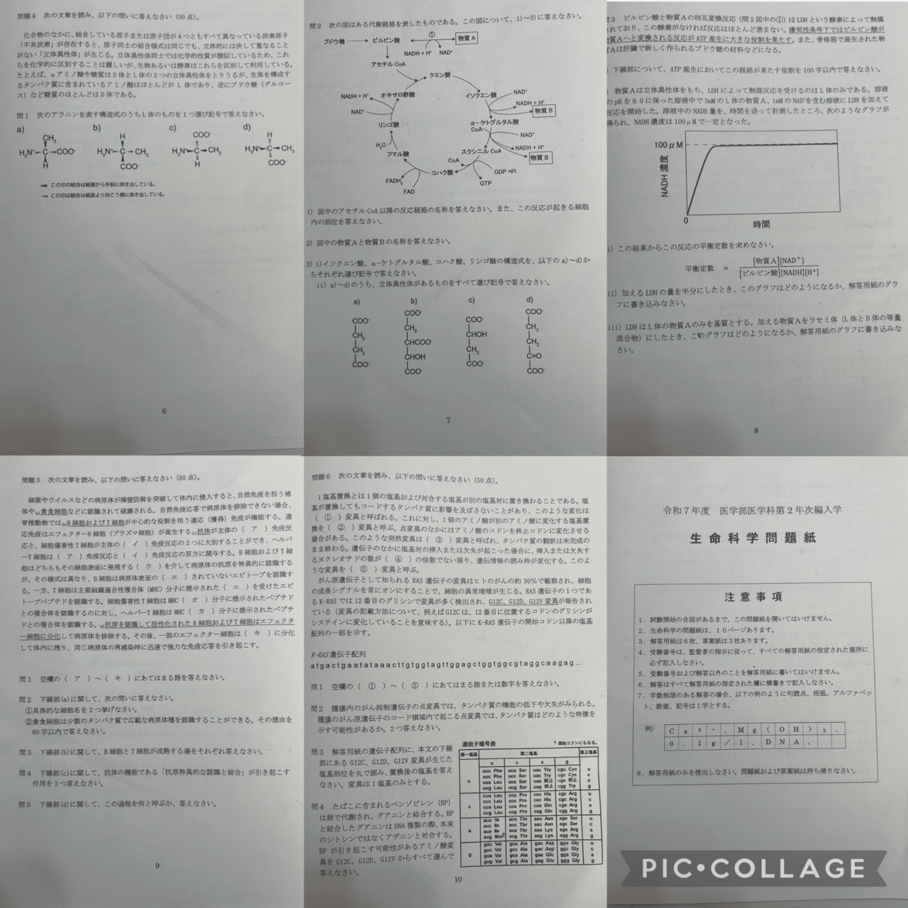 医学部学士編入】 旭川医科大学体験記 2024年実施 ※成績開示あり｜koko