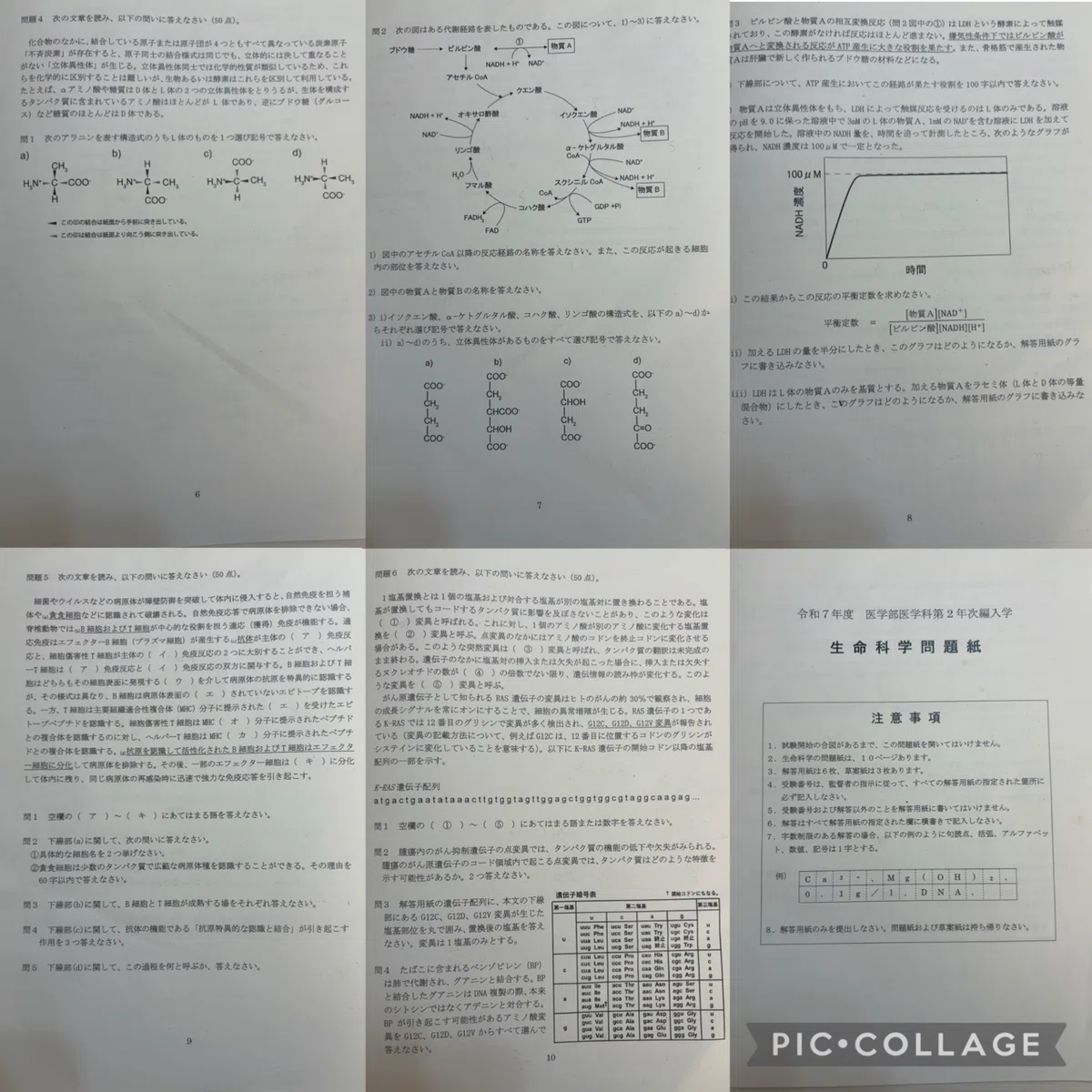 医学部学士編入】 旭川医科大学体験記 2024年実施 ※成績開示あり｜koko